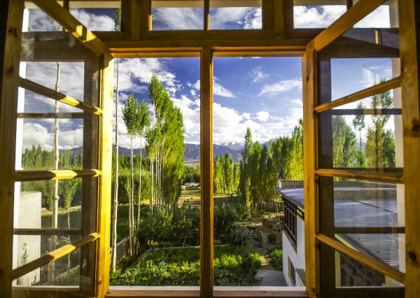 Wood Window Replacement in Elgin